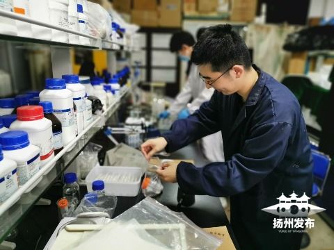 綠色科技新突破 揚州大學研發環保生物藥劑，為植物健康保駕護航
