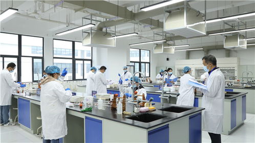 強化技能比拼主陣地 筑牢質量安全防線——瀘江首屆檢驗檢測機構檢驗能力比對比武在四川化工職業技術學院舉辦