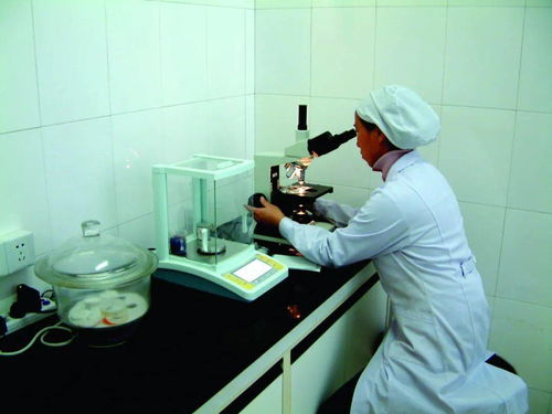 加速轉化謀新篇 北大荒集團以生物化工技術重塑市場競爭力