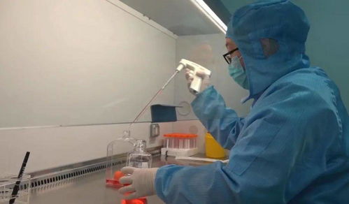 全球首創！濟南企業研發的細菌溶瘤1類生物新藥獲批Ⅱ期臨床試驗 生物化工技術研發新突破